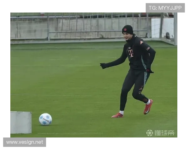 帕夫洛维奇：在教练指导下的成长与提升